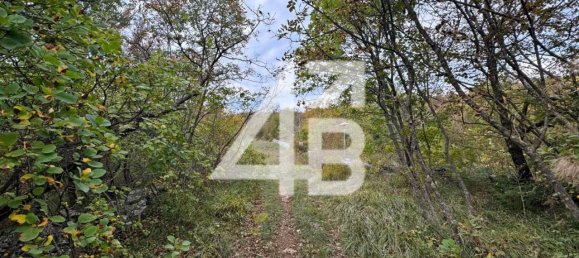 27227m² Land in Trieste, Italy No. 77342 12