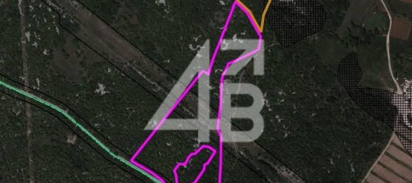 27227m² Land in Trieste, Italy No. 77342 2