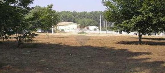 Grundstück in Viseu, Portugal 2596m², Nr. 46666 3