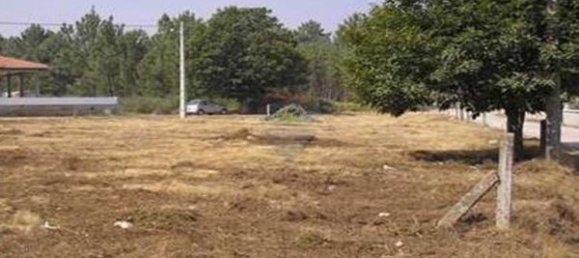 Grundstück in Viseu, Portugal 2596m², Nr. 46666 4