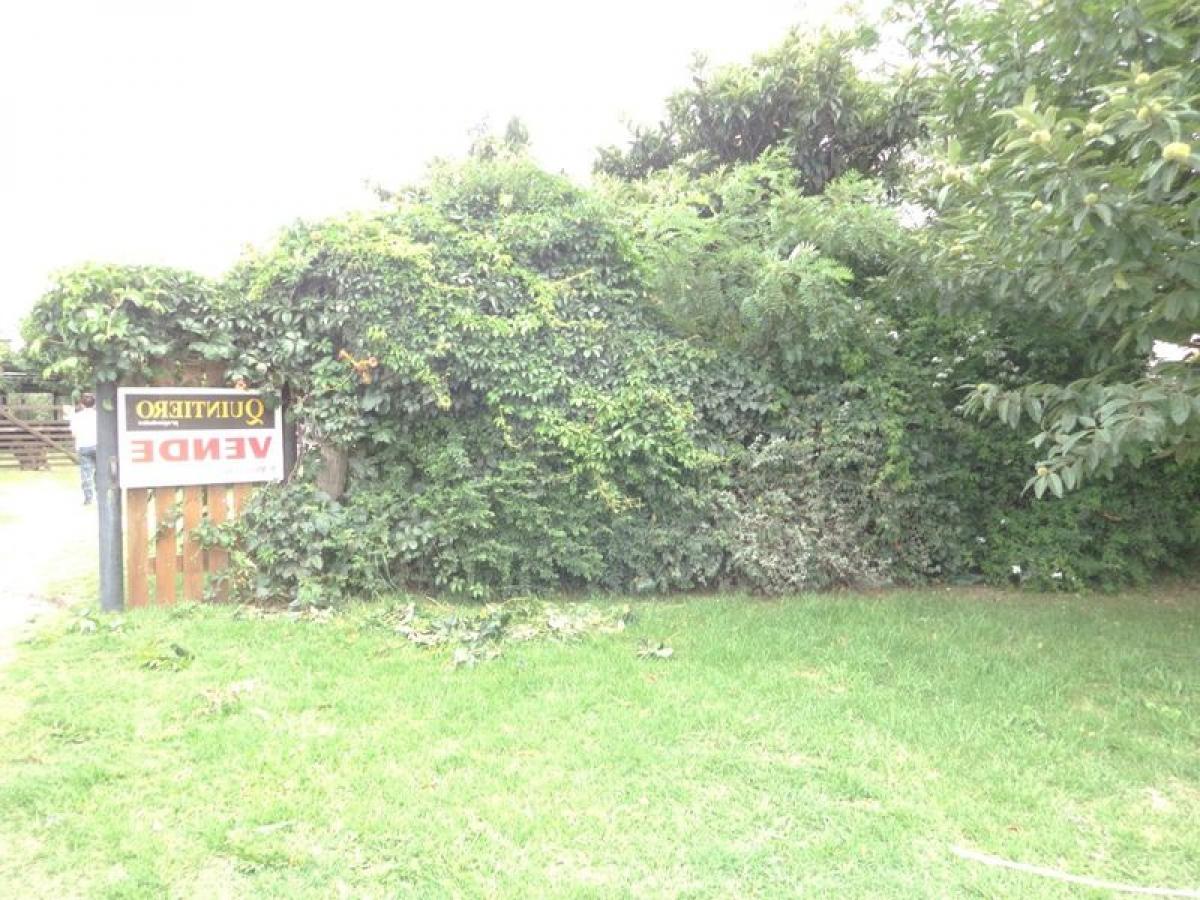 2 bedrooms House in Mar del Plata, Argentina No. 101813