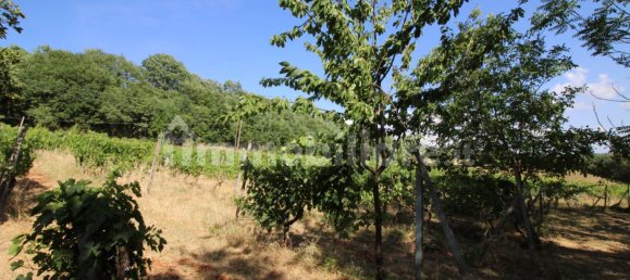 3 chambres Maison à Montespertoli, Italy No. 48948 36