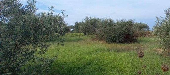 2660m² Land in Messina, Italy No. 278052 6