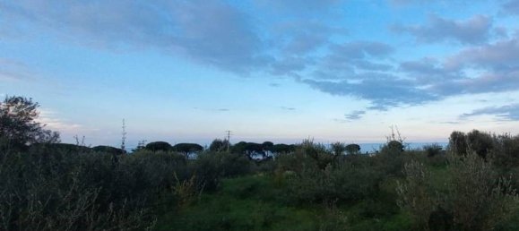 2660m² Land in Messina, Italy No. 278052 11