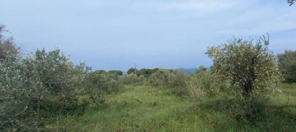 2660m² Land in Messina, Italy No. 278052 5