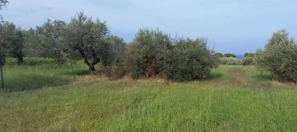 2660m² Land in Messina, Italy No. 278052 2