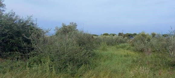 2660m² Land in Messina, Italy No. 278052 3