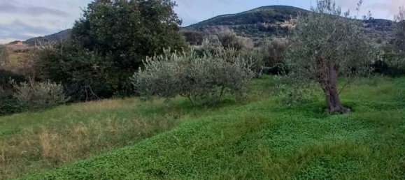 2660m² Land in Messina, Italy No. 278052 12
