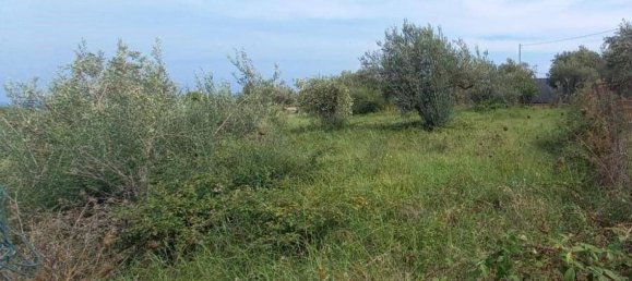 2660m² Land in Messina, Italy No. 278052 8