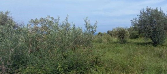 2660m² Land in Messina, Italy No. 278052 7