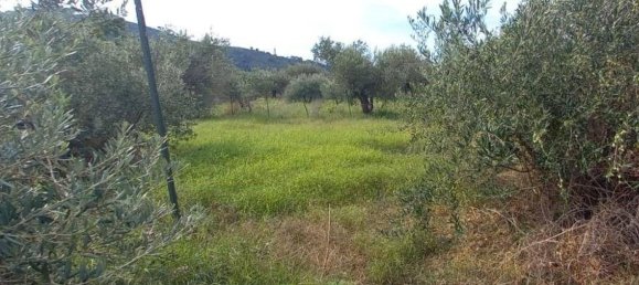 2660m² Land in Messina, Italy No. 278052 4
