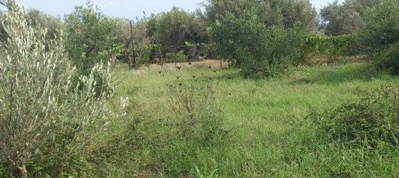 2660m² Land in Messina, Italy No. 278052 10