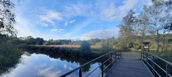 1 Schlafzimmer Penthouse in Ostholstein, Germany, Nr. 17663 16