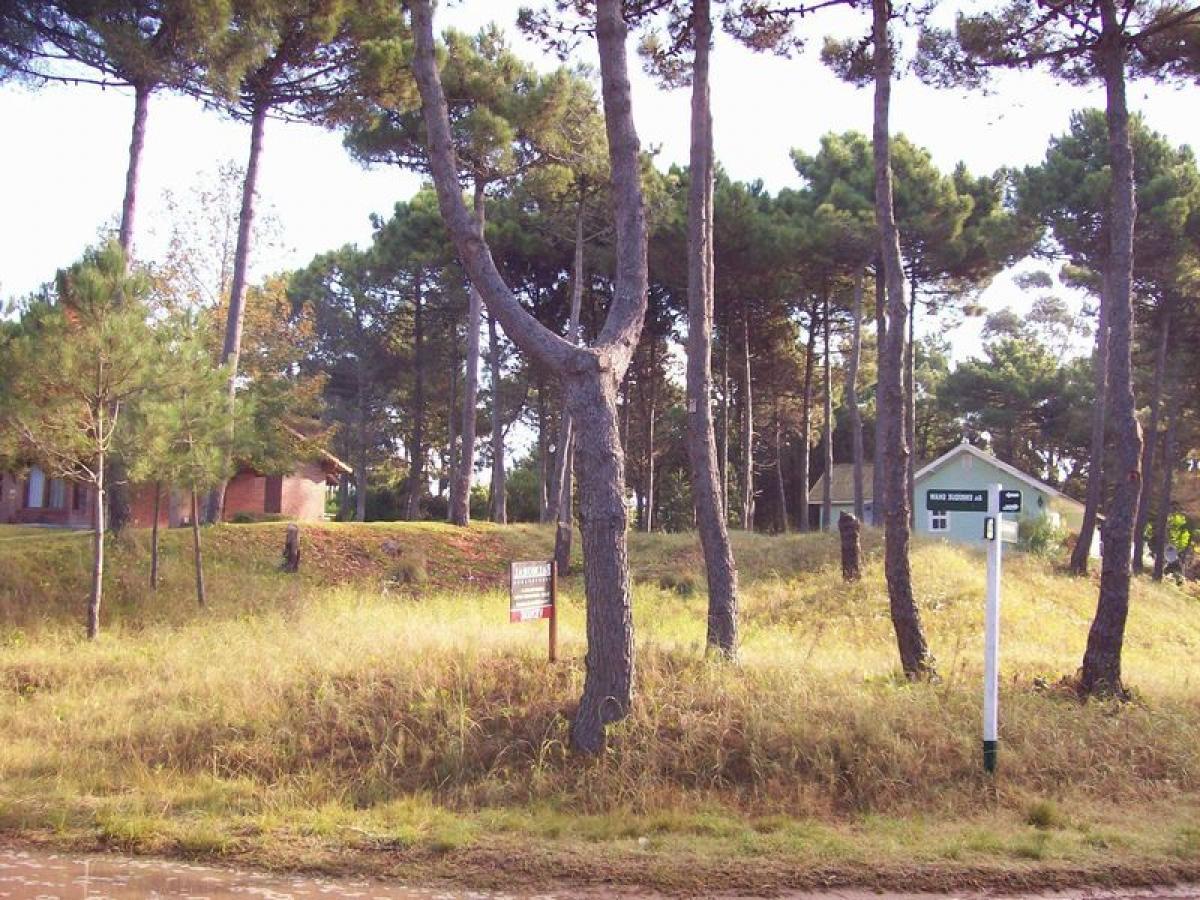 Terrain à Mar del Plata, Argentina No. 117120