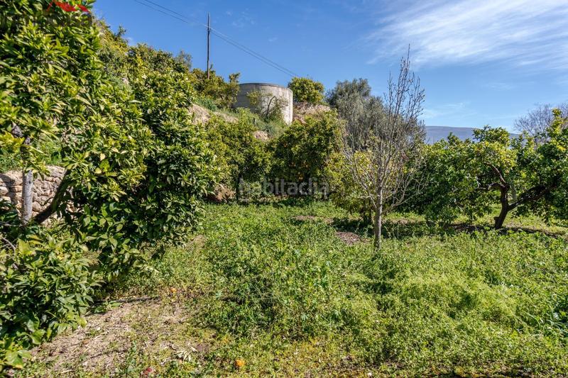 6000m² Land in Lucar, Spain No. 201126