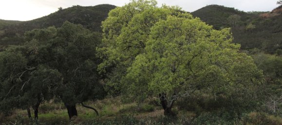 4 bedrooms House in Aljezur, Portugal No. 189972 20