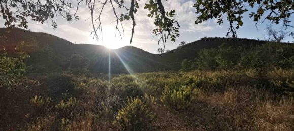 4 bedrooms House in Aljezur, Portugal No. 189972 13