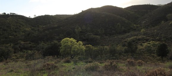 4 bedrooms House in Aljezur, Portugal No. 189972 11