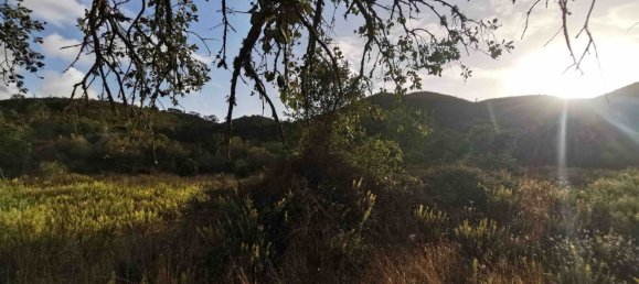 4 bedrooms House in Aljezur, Portugal No. 189972 15