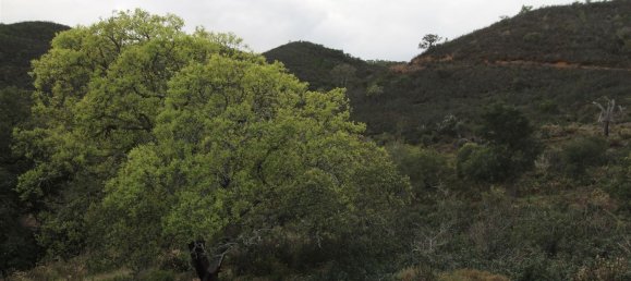 4 bedrooms House in Aljezur, Portugal No. 189972 18