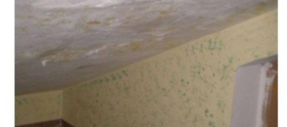 Квартира с 6 спальнями в Ардеа, Италия № 9006 21