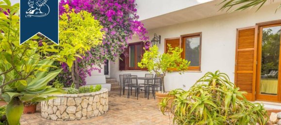 10 bedrooms Villa in San Felice Circeo, Italy No. 54470 3