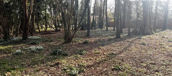  Land in Congis-sur-Therouanne, France No. 268130 5