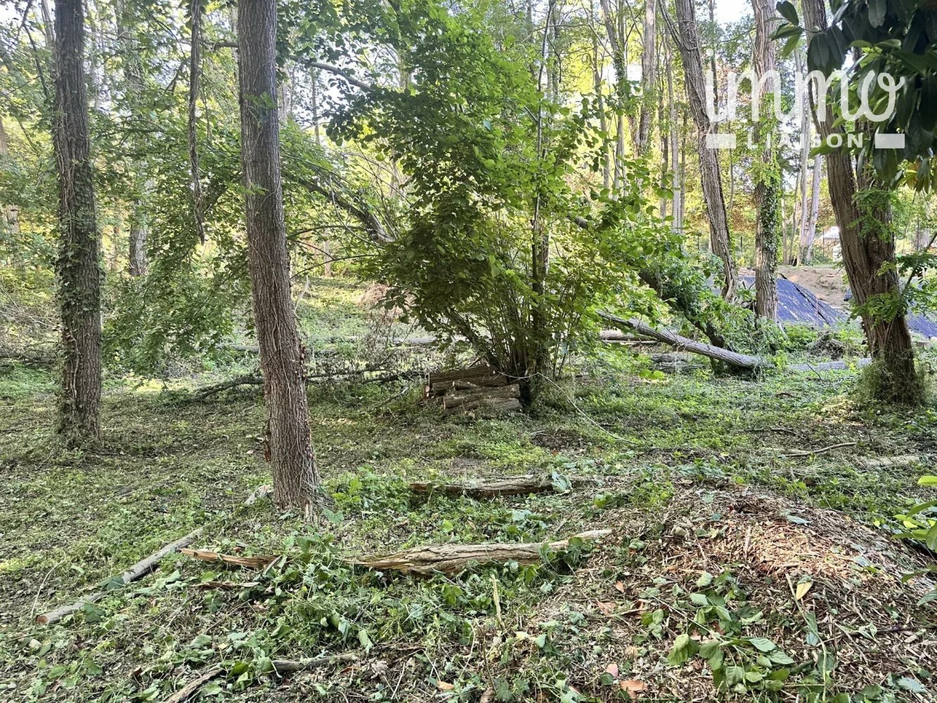  Land in Congis-sur-Therouanne, France No. 268130