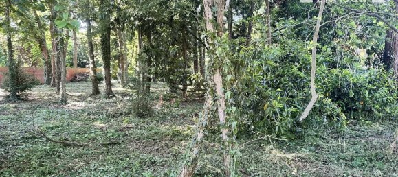  Land in Congis-sur-Therouanne, France No. 268130 6