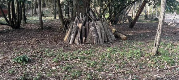  Land in Congis-sur-Therouanne, France No. 268130 4