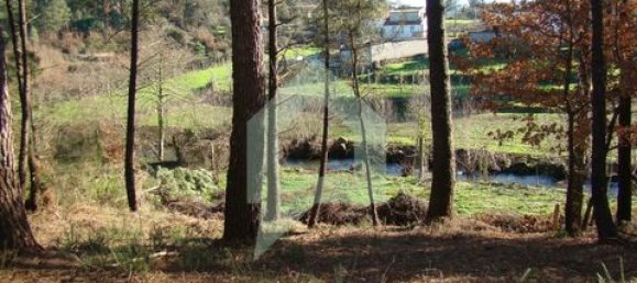 Земельный участок 3000м² в Барселуш, Португалия № 151662 17