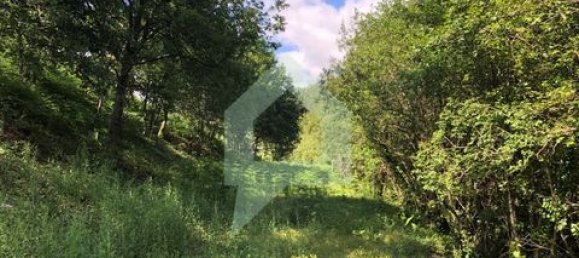 Земельный участок 3000м² в Барселуш, Португалия № 151662 40