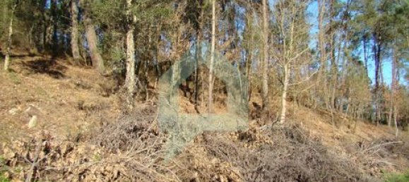 Земельный участок 3000м² в Барселуш, Португалия № 151662 11