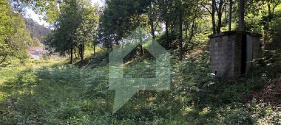 Земельный участок 3000м² в Барселуш, Португалия № 151662 48