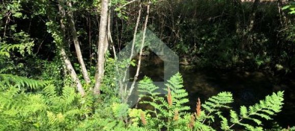 Земельный участок 3000м² в Барселуш, Португалия № 151662 44