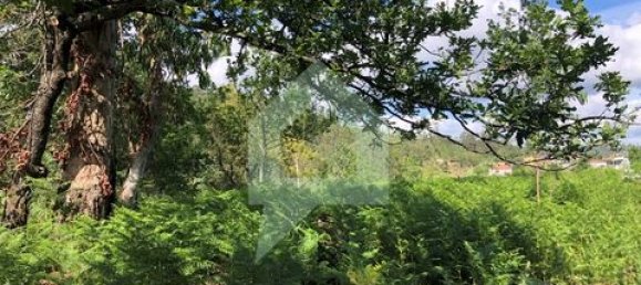 Земельный участок 3000м² в Барселуш, Португалия № 151662 3