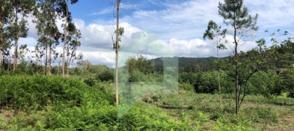 Земельный участок 3000м² в Барселуш, Португалия № 151662 36