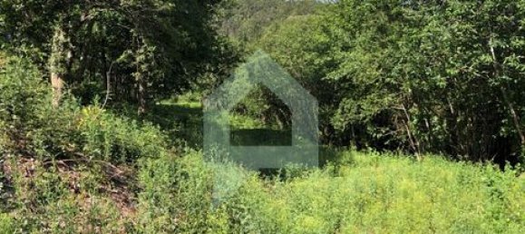 Земельный участок 3000м² в Барселуш, Португалия № 151662 38