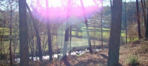 Земельный участок 3000м² в Барселуш, Португалия № 151662 19