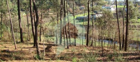 Земельный участок 3000м² в Барселуш, Португалия № 151662 21