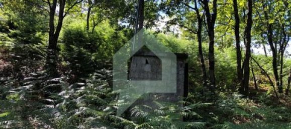 Земельный участок 3000м² в Барселуш, Португалия № 151662 43