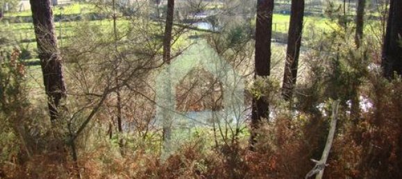 Земельный участок 3000м² в Барселуш, Португалия № 151662 25