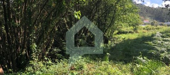 Земельный участок 3000м² в Барселуш, Португалия № 151662 42