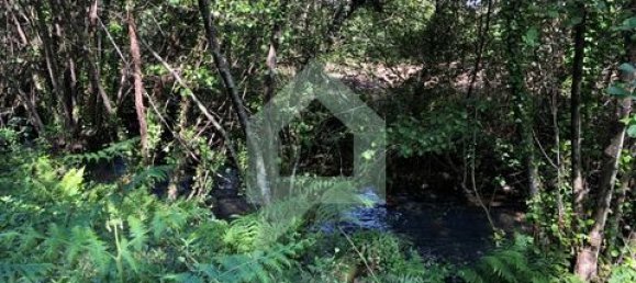 Земельный участок 3000м² в Барселуш, Португалия № 151662 41