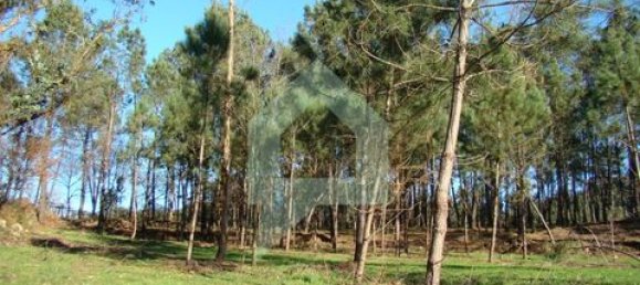 Земельный участок 3000м² в Барселуш, Португалия № 151662 6