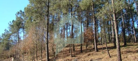 Земельный участок 3000м² в Барселуш, Португалия № 151662 15