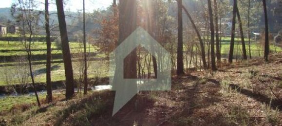 Земельный участок 3000м² в Барселуш, Португалия № 151662 18