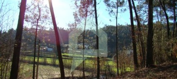 Земельный участок 3000м² в Барселуш, Португалия № 151662 20