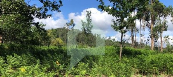 Земельный участок 3000м² в Барселуш, Португалия № 151662 37