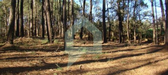 Земельный участок 3000м² в Барселуш, Португалия № 151662 22